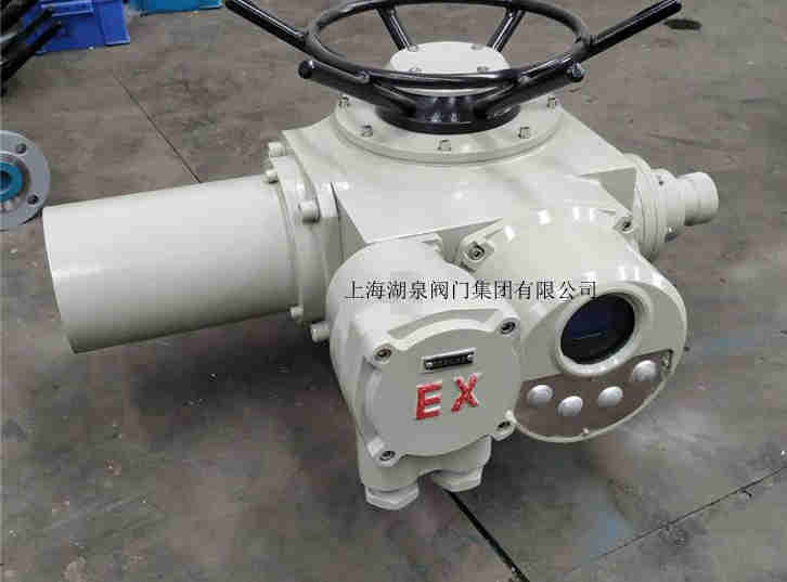電動(dòng)執(zhí)行器