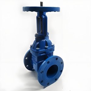 手動閘閥Z41T-16 DN50/DN65廠家直銷，上海發